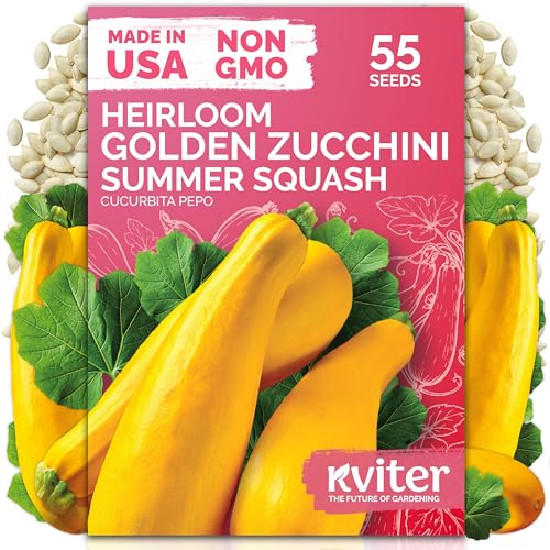 55 Golden Zucchini Summer Squash Heirloom Vegetable Seeds