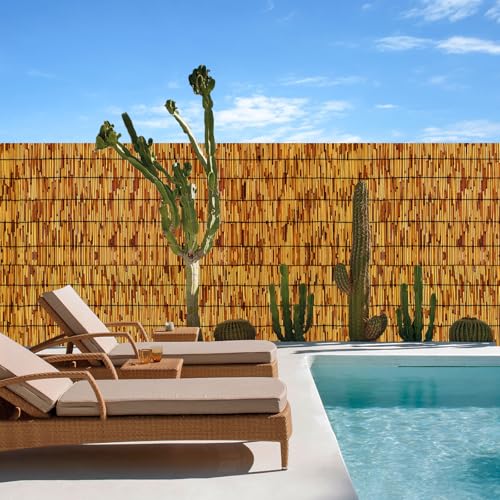 Reed Fencing Rolls (6×6FT / Brown)