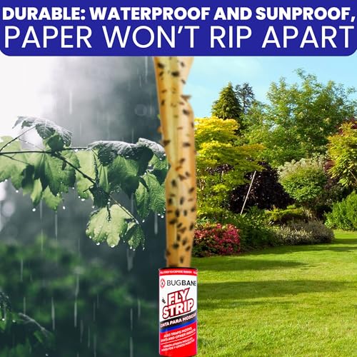 Fly Strips Indoor Sticky Hanging 48pk with Pins. Non Toxic Outdoor Fly Trap Indoor for Home. Flies Tape Paper Trap Ribbon Roll for House Gnat Fruit and Housefly. Bug Catchers for Inside Home Flypaper (48 count)