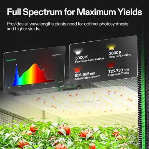 2.3x2.3ft Grow Tent Kit 150W Light Complete Smart Grow System (28"x28"x63")