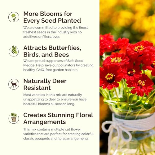 Cupid's Flower Seed Mixed Seeds for Planting