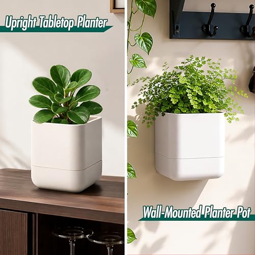 4.5 Inch Wall Mounted Self (4.5" (3 Pack) / Oatmeal)