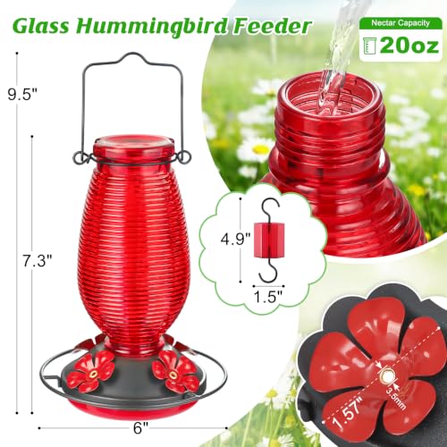 Glass Hummingbird Feeder for Outdoors Hanging