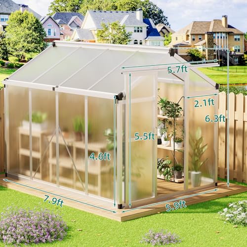 6x8 FT Greenhouse (Silver / 6x8 FT)