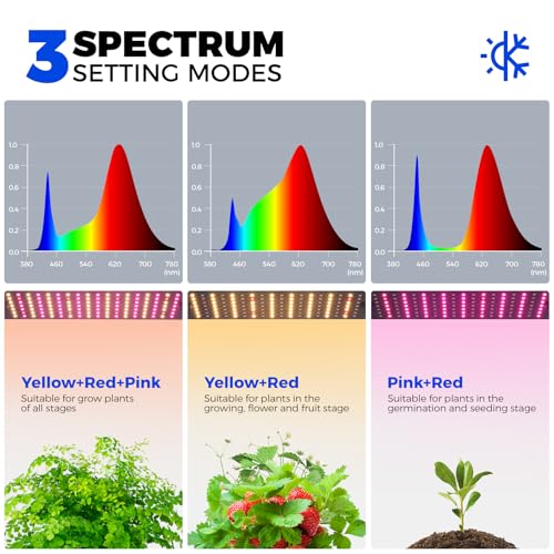 CX83Z Indoor Greenhouse with Grow Light (3 Spectrum-CX83Z / 15.7x11.8x59.1IN w/ Tent)