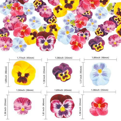 64Pcs Edible Flower Cupcake Toppers Wafer Paper Flat Cake Toppers Spring Bridal Engagement Baby Shower Birthday Party Cupcake Picks Anniversary Party Supplies (64 Count)