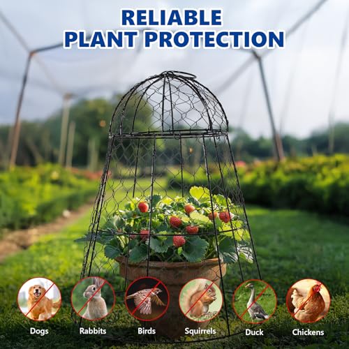 Garden Cloches for Plants (Set of 12)