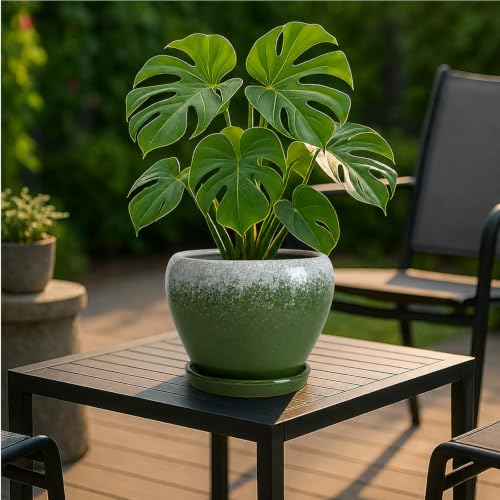 8 Inch Plant Pots (Blackish Green / 8 Inch)