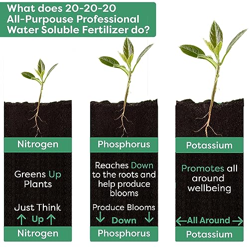 20-20-20 Water-Soluble Fertilizer – Powder for Liquid Plant Food for Indoor & Outdoor Plants, Orchids, Vegetables, Lawns, Flowers – 20 20 20 Fertilizer (20 QUARTS) (20 quarts / 20-20-20 Water-Soluble Fertilizer)