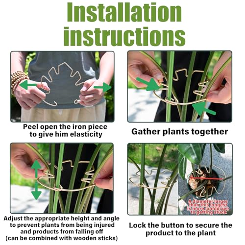 5.5x4.7in Gold Monstera Plant Stem Support System (Gold / 5.5IN*4.7IN)