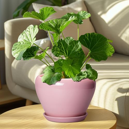 Ceramic Modern Glaze Succulent Planter Pot with Drainage Hole and Saucer 8 Inch Round Flower Plant Pot for Indoor Outdoor Herb Snake Plants (8 Inch / Pink)