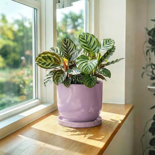 5.6 Inch Flower Pot Saucers (5.6 Inch / Purple)