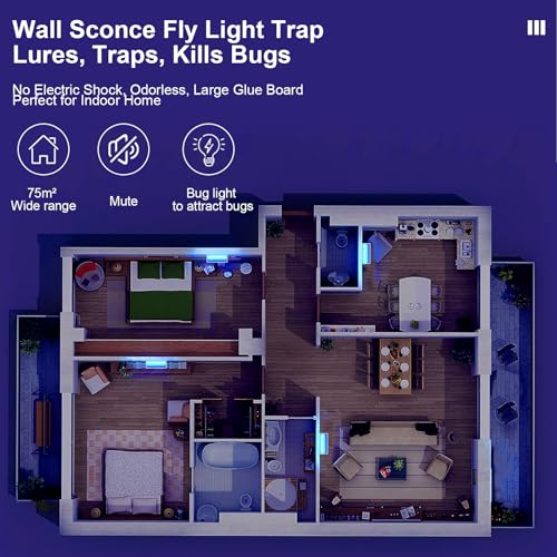2 Pack Fly Trap Indoor