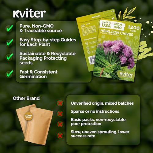 1 200 Chive Heirloom Herb Seeds for Planting