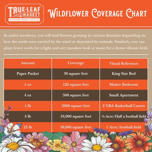 Mountain Valley Seed Co Rocky Mountain Wildflower Seeds Mix (80 Ounce)