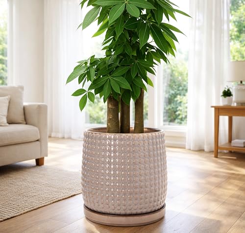 Beaded Ceramic Pot with Saucer (10.2 Inch / Light Brown)