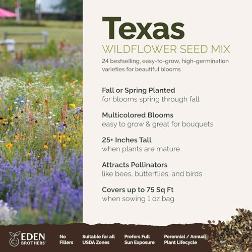 Texas Wildflower Mixed Seeds for Planting