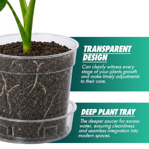 3 Inch Clear Plastic Plant Pot with Drainage Holes (3" x 2.5")