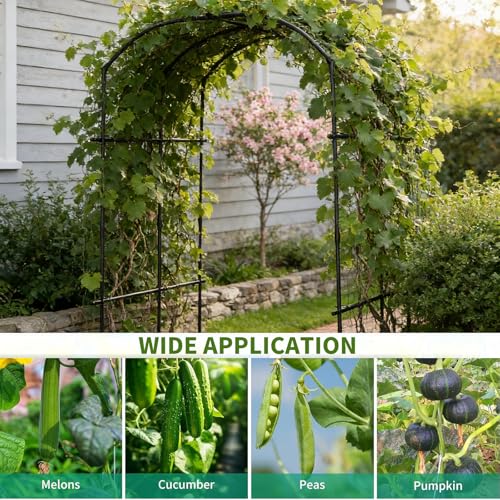 Garden Arch Trellis