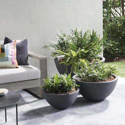 Delano Bowl Planter
