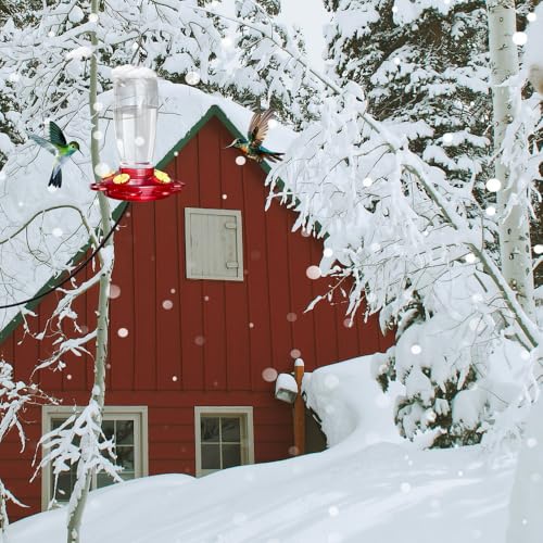 Heated Hummingbird Feeder for Outdoor Winter