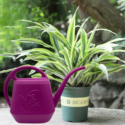 Plant Watering Can (Rose Red)