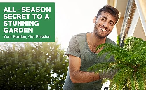 8-4-8 Professional Palm Tree Fertilizer Plant Food; for Indoor Potted Plants and Outdoor Landscape Palm Trees; Quick-Release Nitrogen Fertilizer and Continuous Feeding (4 QUARTS) (128 Ounce)