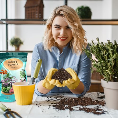 Potting Soil Mix 4qt for Indoor Plants (128 Fl Oz)