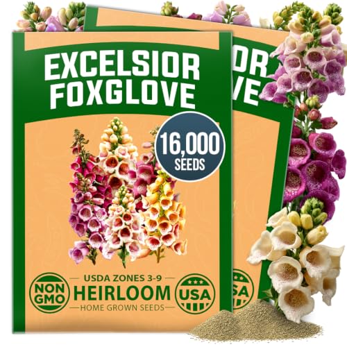 Excelsior Mix Foxglove Seeds