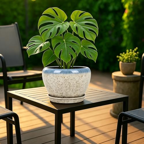 8 Inch Plant Pots (Beige&blue / 8 Inch)