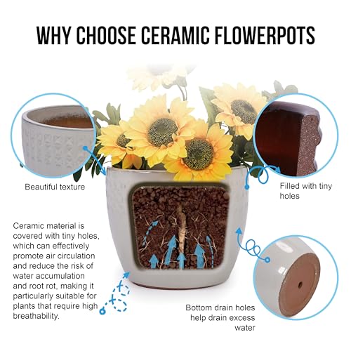 Ceramic Plant Pots Set of 3 Size (Antique White)