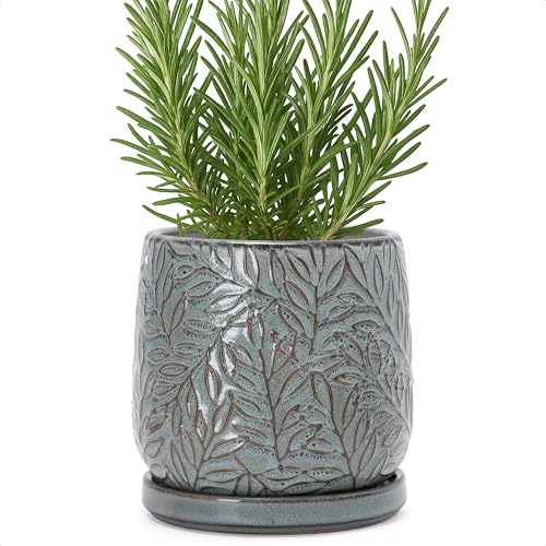 Embossed Leaves Ceramic Planter (6 Inch / Graphite Blue)