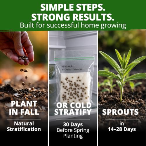 Butterfly Milkweed Seeds for Planting