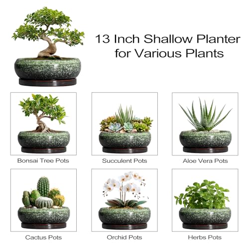 Bonsai Pots 13 Inch Ceramic Succulent Planters Indoor (13 Inch / Retro Green)
