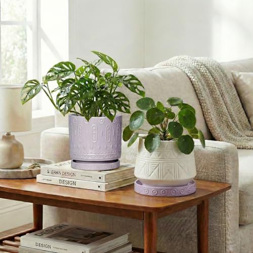 Ceramic Plant Saucer 5.6 Inch (5.6 Inch (2 Pack) / Purple)