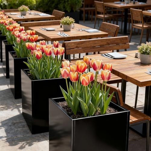 Metal Planter Box for Outdoor Plants 26" L x 26" W x 26" (Black / 26" L x 26" W x 26")