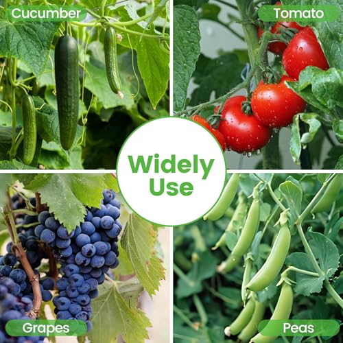 Foldable Cucumber Trellis (46" L x 18" W)