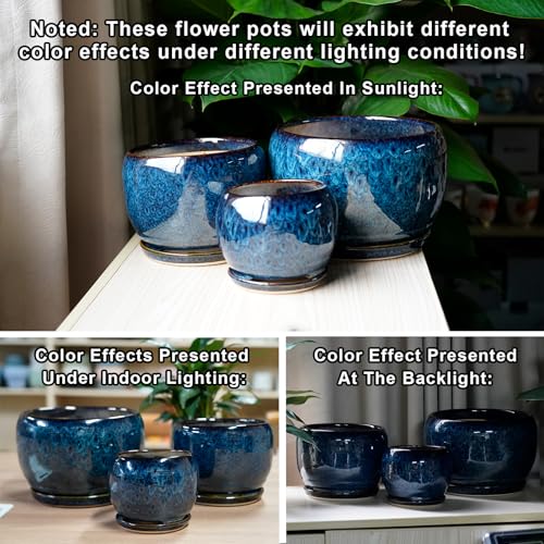 10 Inch Plant Pot