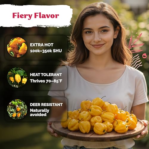 100 Yellow Hot Jamaican Habanero Pepper Vegetable Seeds