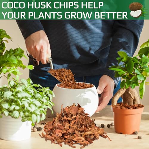 10 Pcs Coco Husk Chips for Plants