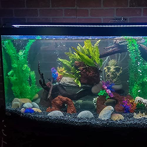 18lb Black Cactus Pea Gravel Rocks (18LB / Black Galaxy)