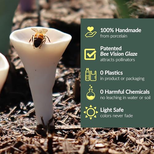 5 Pack Bee Watering Station (Bold Singles)