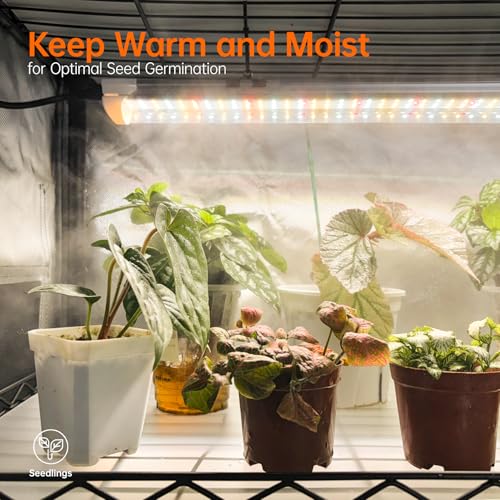 Indoor Greenhouse with Grow Light Oxford (Oxford Cover / 71" H x 13.8" W x 29.5" L)