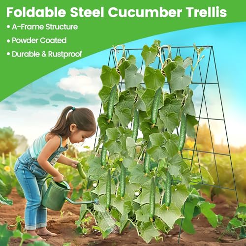 Foldable Cucumber Trellis (46" L x 18" W)