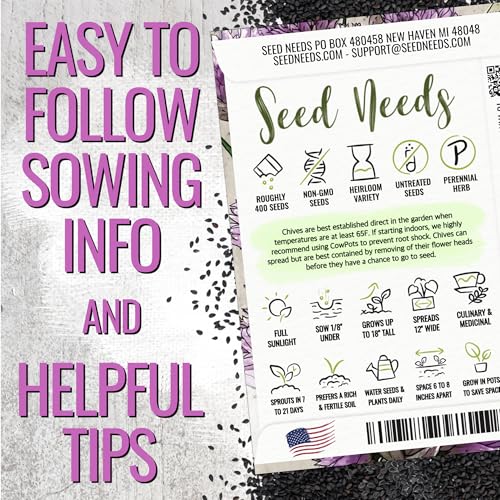Common Chives Seeds to Plant Heirloom Non (2 Packs)