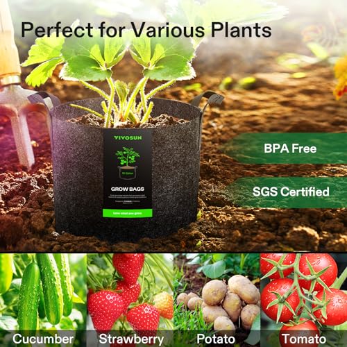 10 Pack 10 Gallon Plant Grow Bags Fabric Pots with Handles (10 Count)