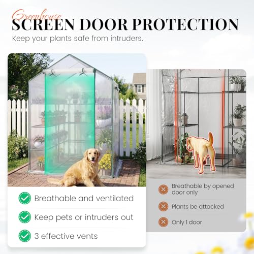 Premium Greenhouse for Outdoors (Clear / 56x56x78")