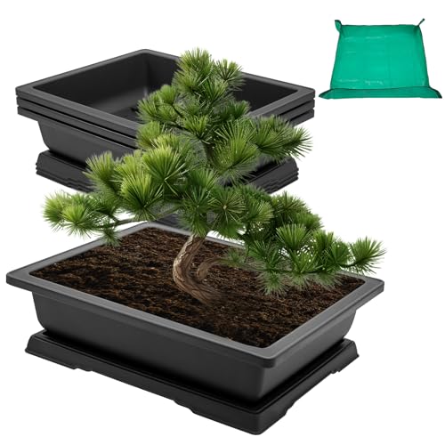 3 Packs 18 Inch Large Bonsai Training Pots with Drainage Trays (3pcs/18x14in)