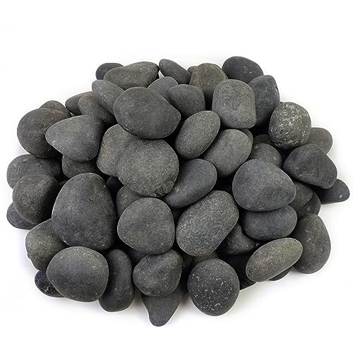 10 lbs Black Pebbles for Indoor Plant (160 Ounce)