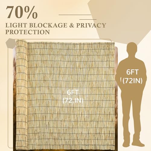 Natural 2 Pack 6FT X16.4FT Reed Fencing Roll Bamboo Privacy Screen (2 Pack 6 X 16.4FT / Natural)